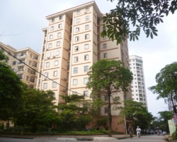 Thông tư chờ… thông tư